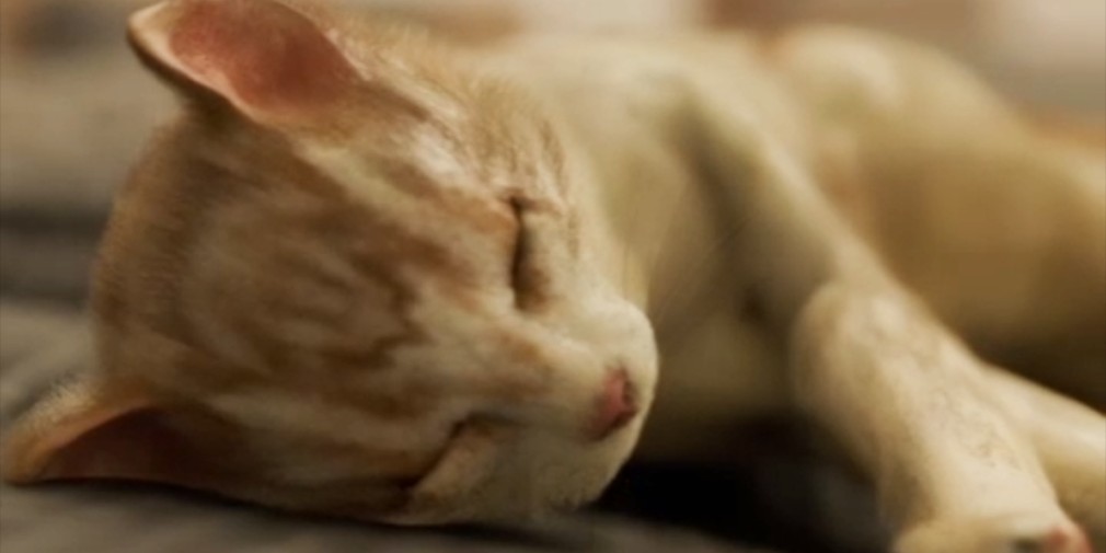 The Cat Was in the Bedroom — простой и удивительно спокойный пазл, вышедший на iOS и Android