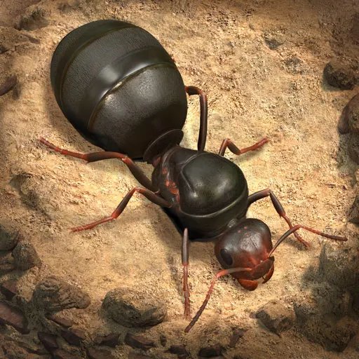 Ants — Гайд для начинающих