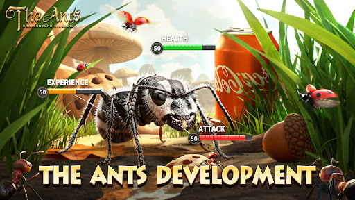 Ants — Прокачка и ресурсы