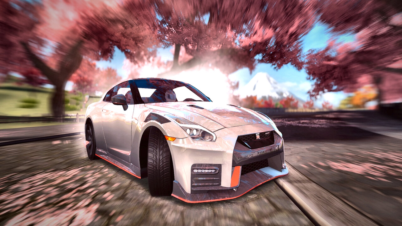Race Max Pro
