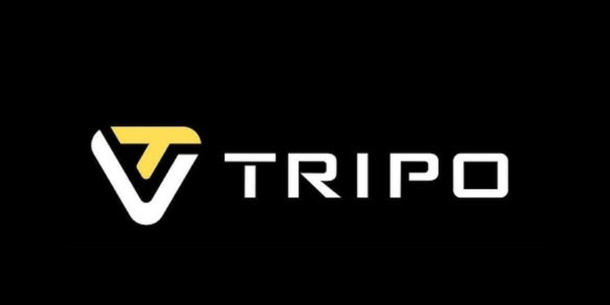 Tripo AI привлекла $150 млн в раунде финансирования Series A3