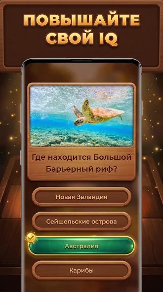 Донат в Древо Знаний: Trivia Blocks. Какие пакеты выгодно покупать, стратегия пополнения