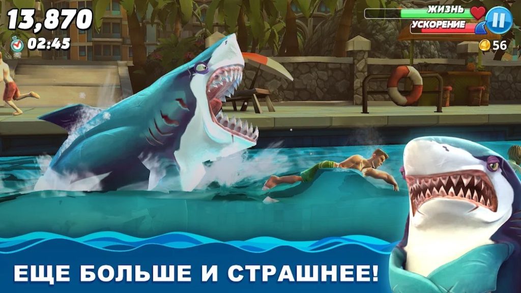 Донат в Hungry Shark World. Какие пакеты выгодно покупать, стратегия пополнения