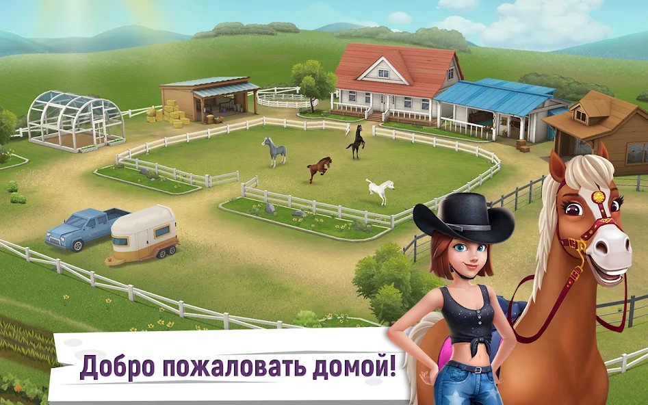 Истории о лошадях