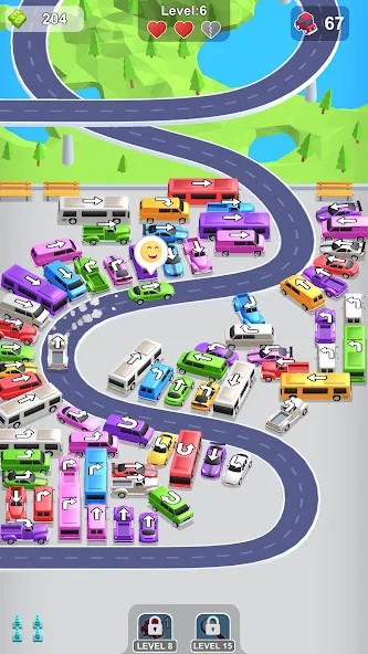 Parking Chaos