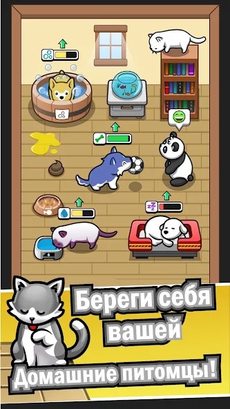 Pet idle