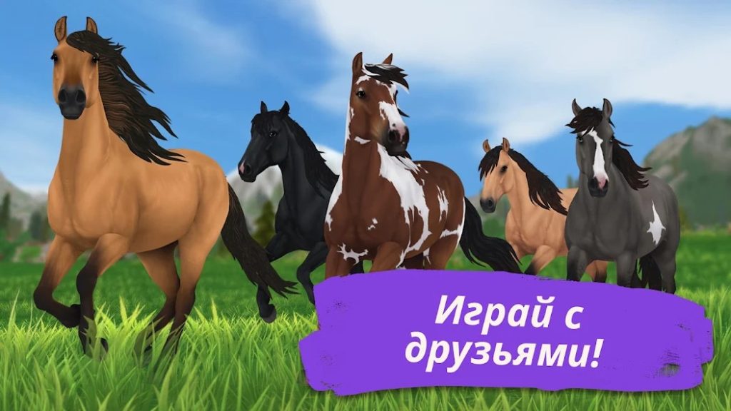 Донат в Star Stable Online. Какие пакеты выгодно покупать, стратегия пополнения