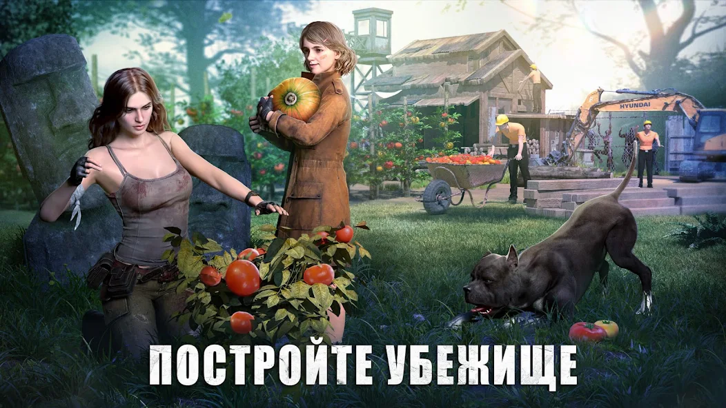 State of Survival